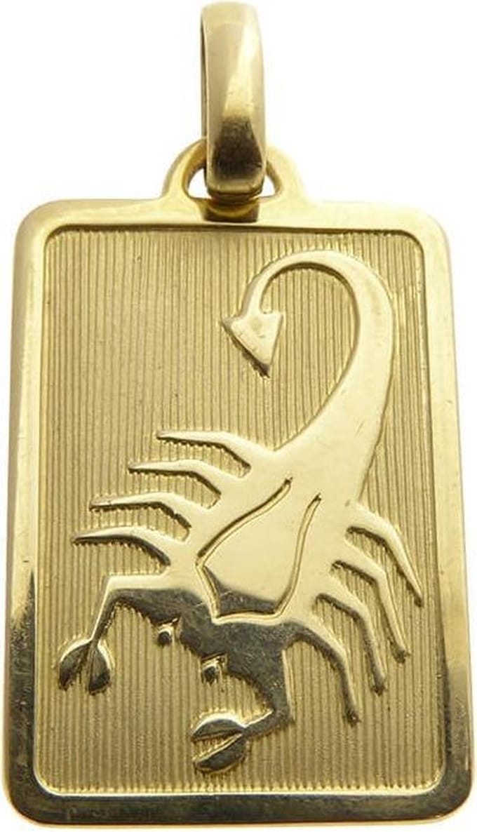 Gouden schorpioen sterrenbeeld hanger