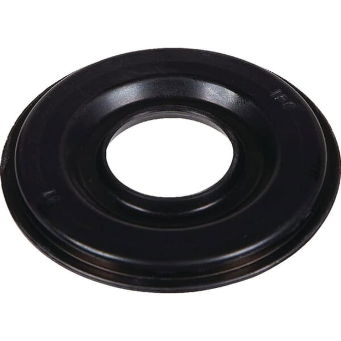 Briggs & stratton ring