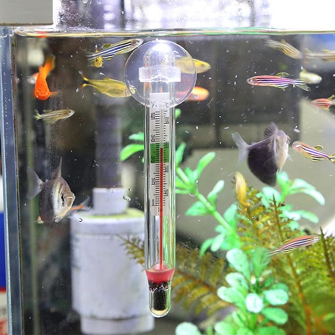Aquarium Thermometer Onderdompelbare Glazen Aquarium Thermometer met Zuignap voor Watertemperatuur white