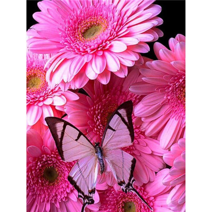 5D Diamond schilderij bloem Daisy vlinder kruissteek 20X30CM pink