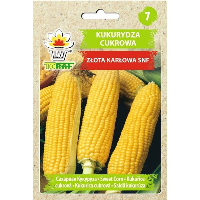 Golden Dwarf Sugar Corn, groentezaden voor de tuin, grote opbrengsten