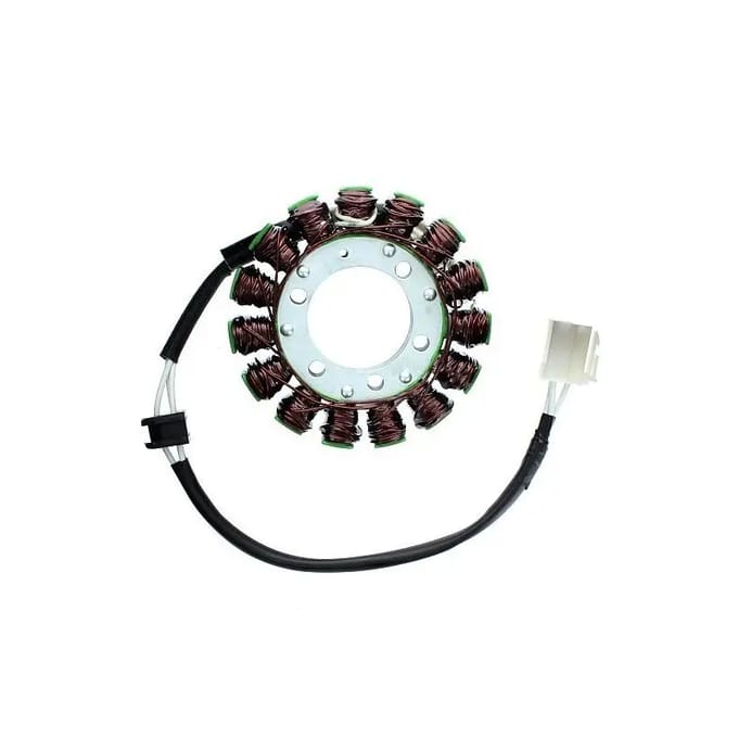 Originele aanpasbare motor dynamo Electrosport Suzuki