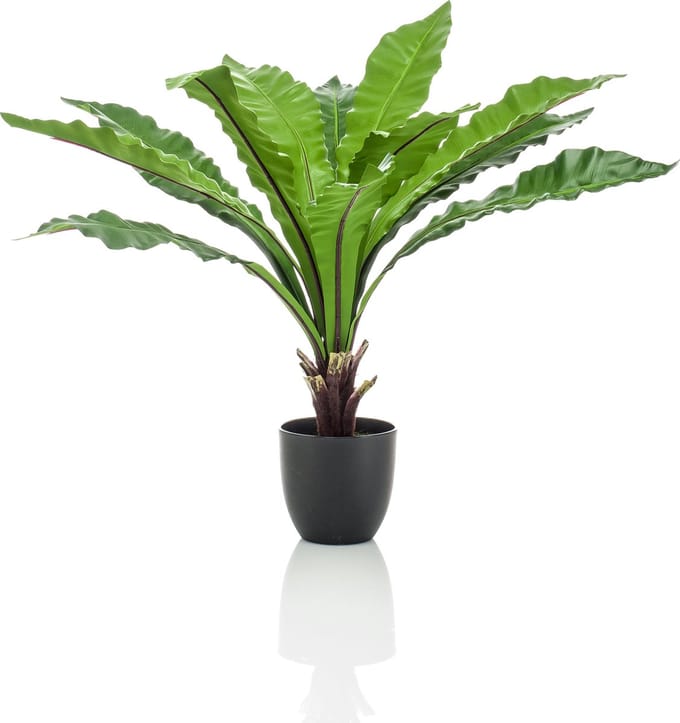 Emerald - Kunstplant Asplenium Fern 75cm - Kunstplant voor binnen