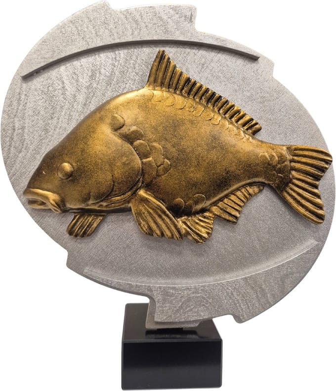 Luxe XL Karper Trofee 3D Reliëf Goud 32 cm Karperbeeld Visbeeld Grote Karpertrofee Karperwedstrijd