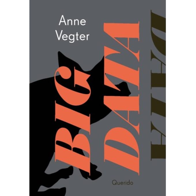 Big Data - Anne Vegter