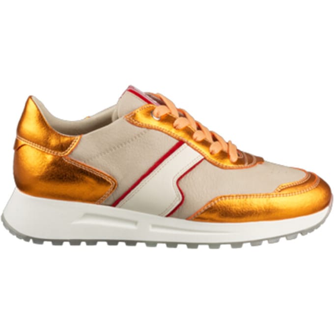 DL Sport 6203