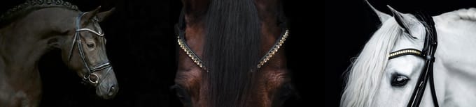 QHP Hoofdstel Era Bruin - Cob