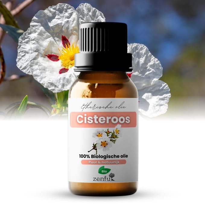 Cisteroos olie - 100% Puur - Zonneroos etherische olie - Cistus - Bio - Natuurlijk - Diffuser - Aromatherapie - 10 ml