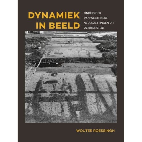 Dynamiek In Beeld - Wouter Roessingh