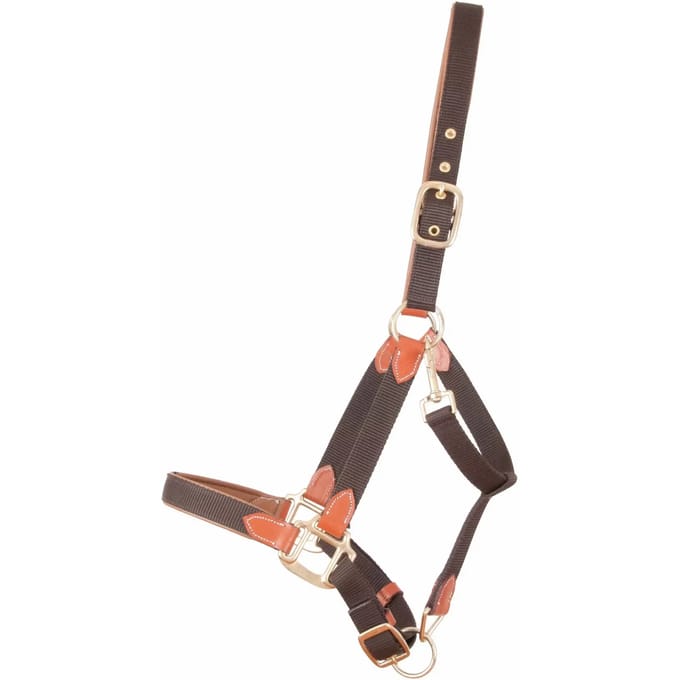 Lederen paardenhalster met riem T de T