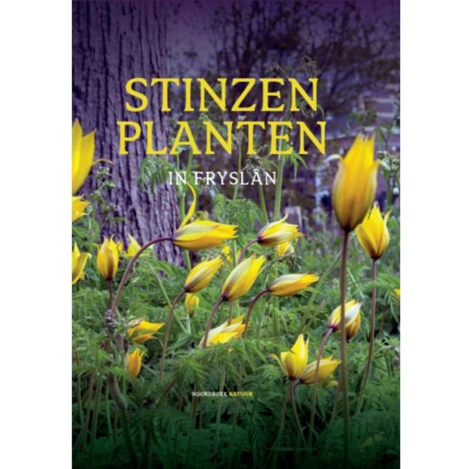 Stinzenplanten In Fryslân