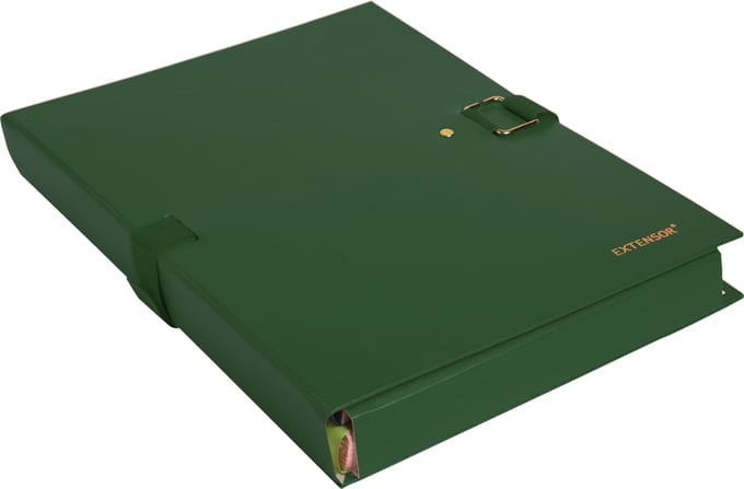 Exacompta 10x Extensor® Balacron - Map met uitrekbare rug en klep - 24x32 cm - Groen - 22007E