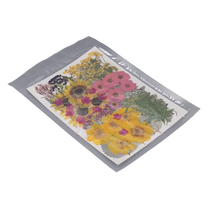 100 Stuks Gedroogde Geperste Bloemen 13 Soorten Natuurlijke Gedroogde Bloemen met 2 Stickers voor Scrapbooking Kaars gray