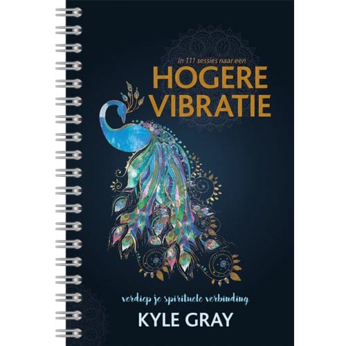 In 111 Sessies Naar Een Hogere Vibratie - Kyle Gray