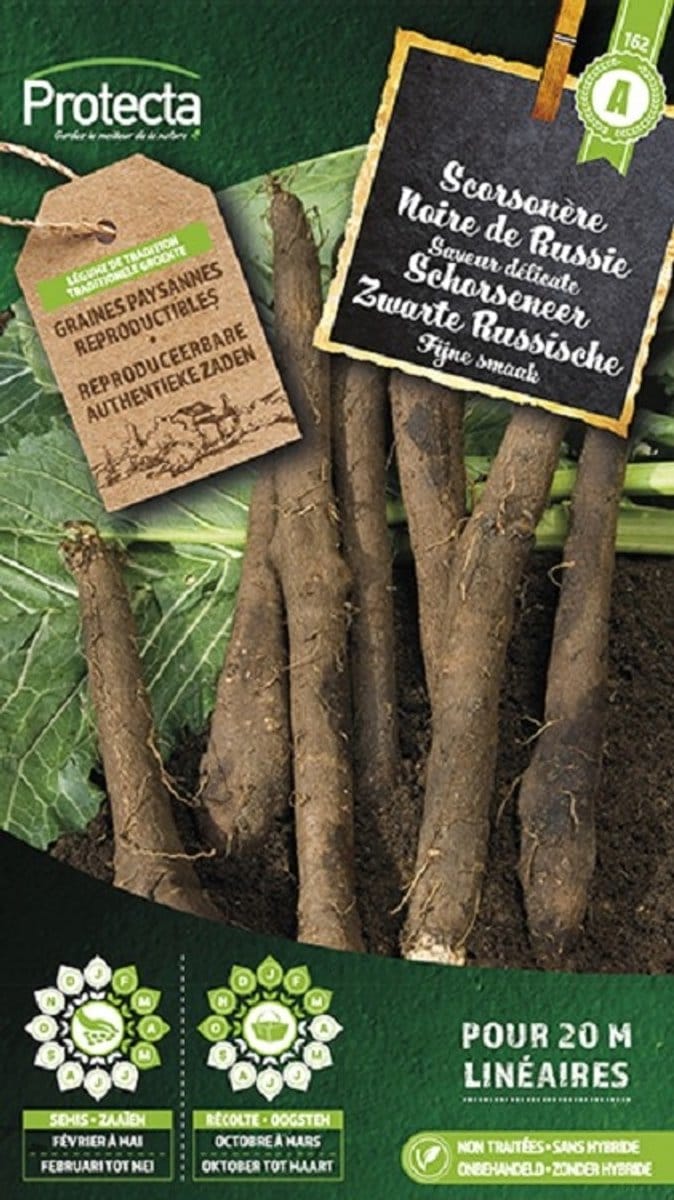 Protecta Groente zaden: Schorseneer Zwarte Russische