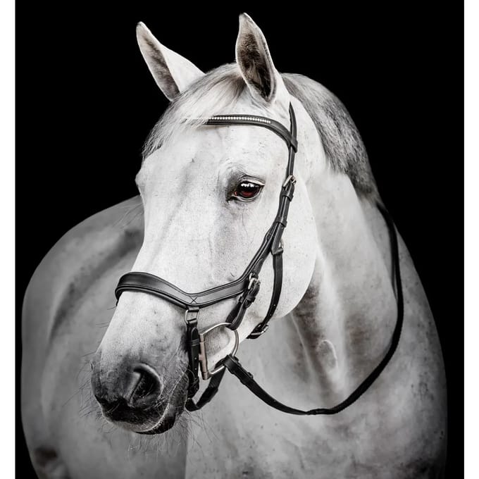 Hoofdstel Horseware Micklem Diamante