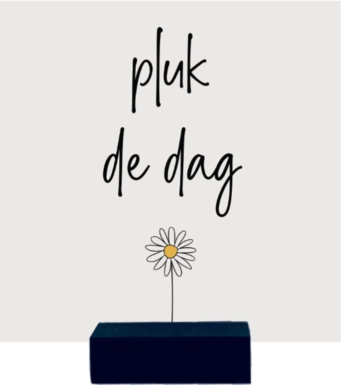 PLUK DE DAG | tegeltje van forex | 13 x 13 cm | met zwarte houder