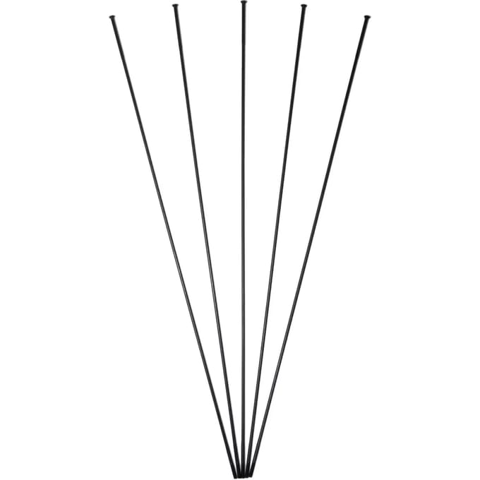 Straal db+protour Massi (x5)