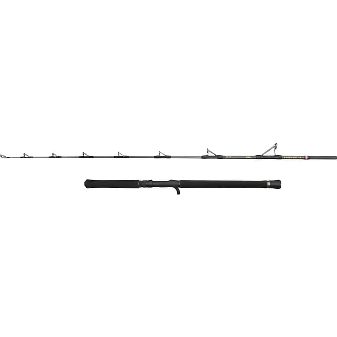 Spinhengel Penn Regiment IV Jig 601 30-50lb