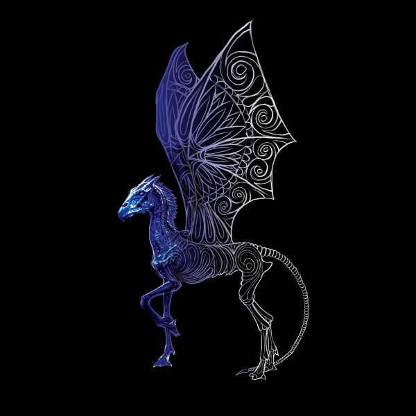 Fantastic Beasts Tribal Thestral trui - Zwart - M