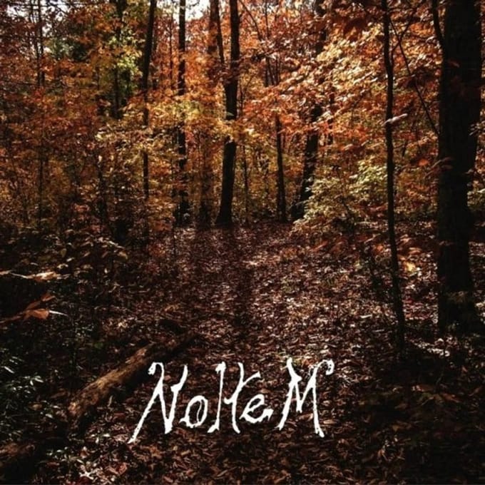 Noltem - Mannaz / Hymn of the Wood (CD)