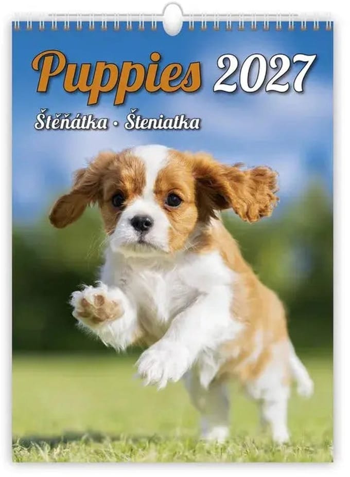 C181-27 Puppyfoto's Kalender A3+ 2027