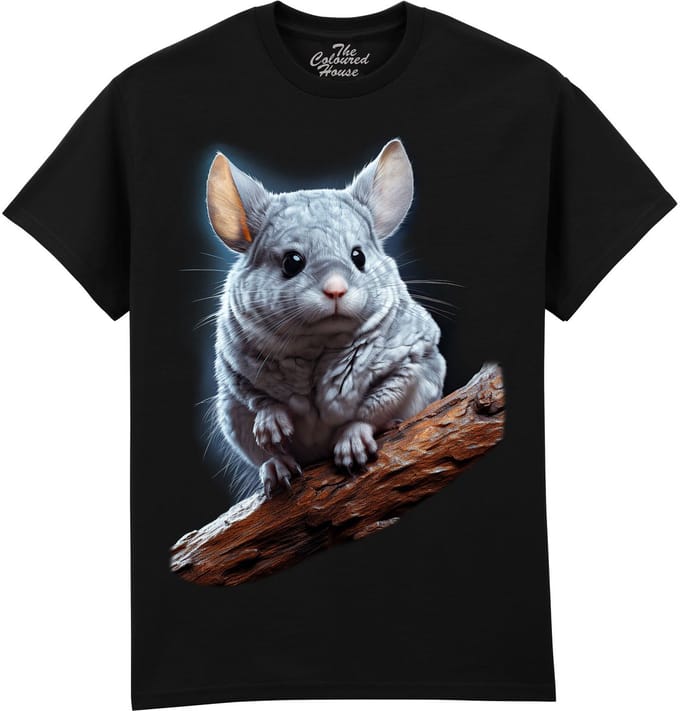 Chinchilla The Coloured House T-shirt S