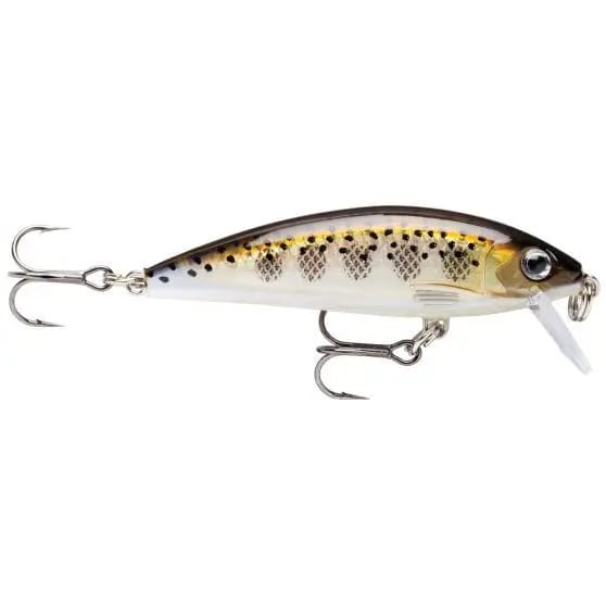Lure Rapala x-rap® countdown® 7cm