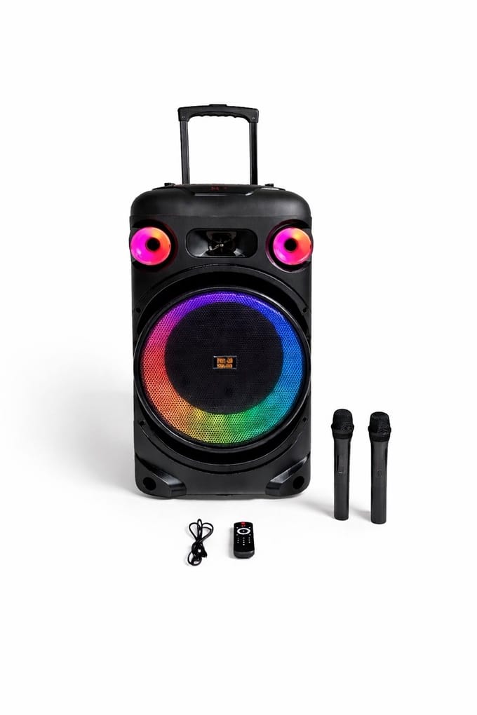 Mobiel professioneel geluid systeem 800W (bluetooth/ 2x draadloze microfoons/ oplaadbare accu