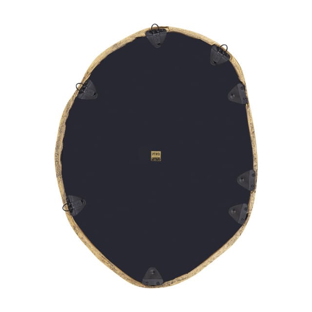 PTMD - Spiegel Paislie - Goud - 56x3x72cm