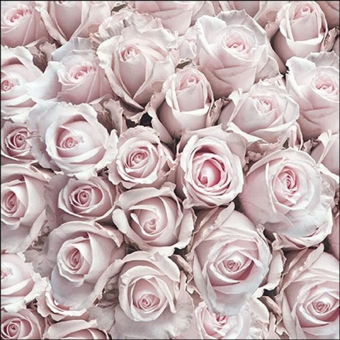 Lunch Servetten - Pastel Roses