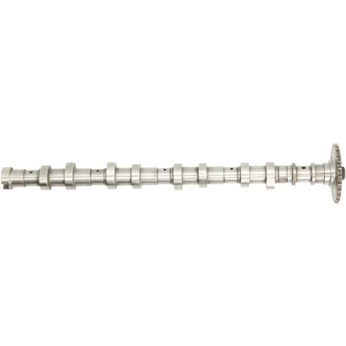 Nokkenas  AE CAM966