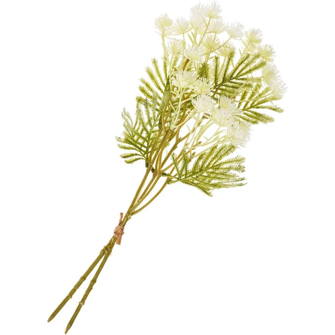 Bloeiwijze tak - Cream