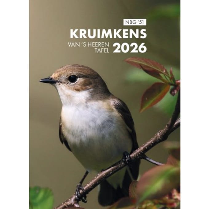 Kruimkens / 2026 - Diverse Auteurs