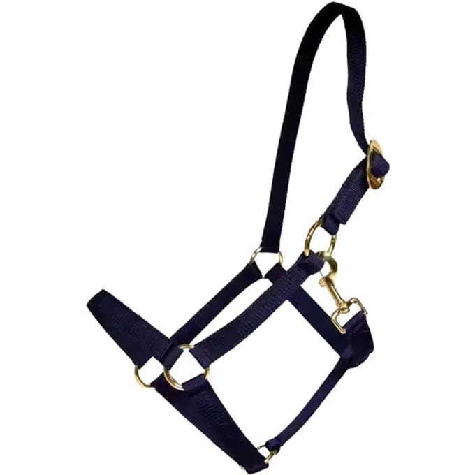 Kentucky Horsewear - Halster nylon marine SH