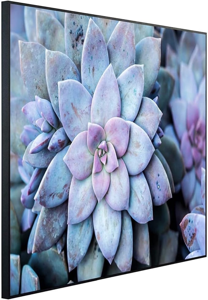 Infraroodstraler Beeld - Design Verwarmer - Bijverwarming Thuis - Geruisloze Warmtestraling - 60x100cm - Echeveria Design