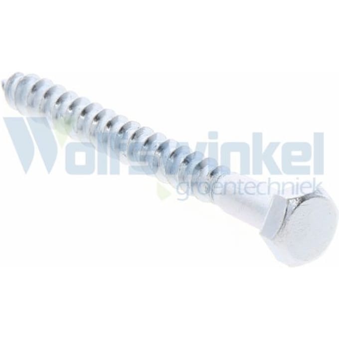 Hoenderdaal houtdraadbout gegalvaniseerd 6 x 60 mm din 571 - doos à 200 stuks