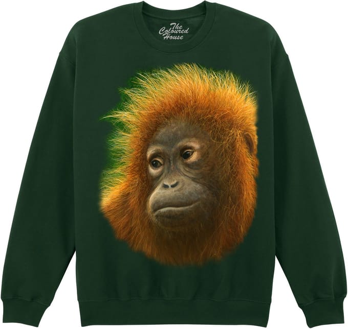 Orangoetan Fluffy Orangutan The Coloured House Sweater M