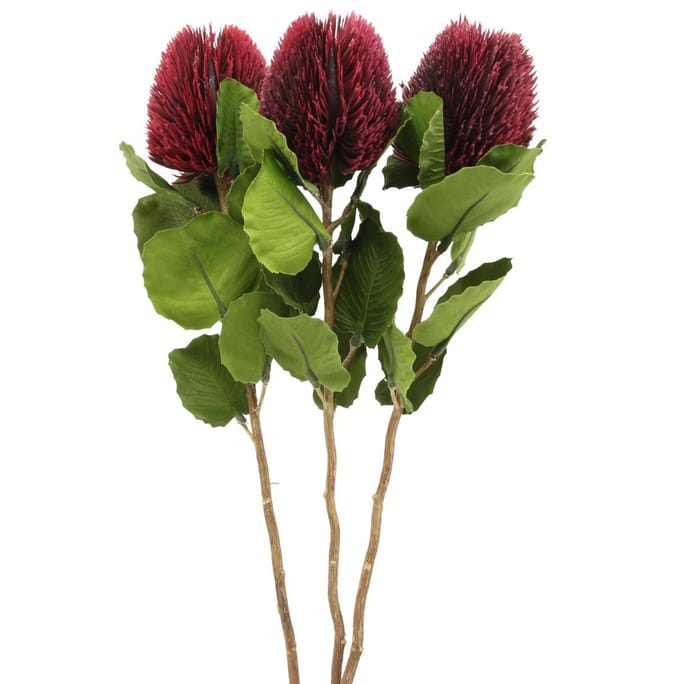 Kunstbloemen, Banksia, Proteaceae wijnrood L58cm H6cm 3st