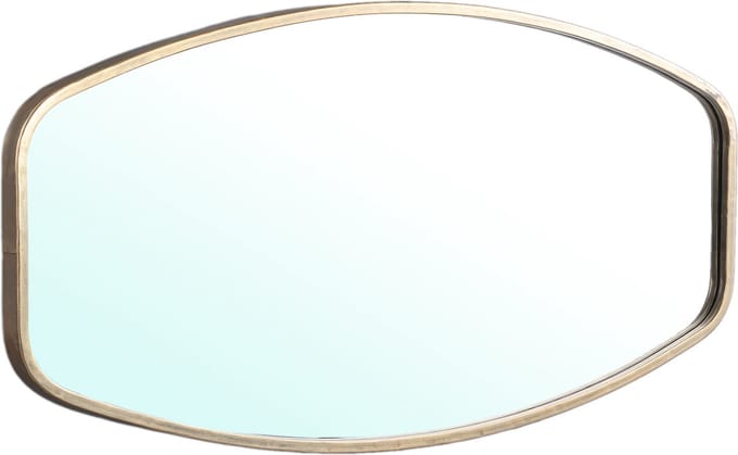 PTMD Linox Spiegel - 50 x 3 x 100 cm - Ijzer - Goud