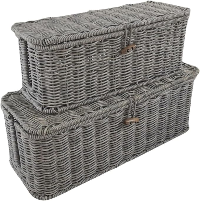 Kabelbox Opbergdoos - Kabel Organizer - Kabelbeheer Thuis - Handgeweven Rotan - Set van 2 - Grijs