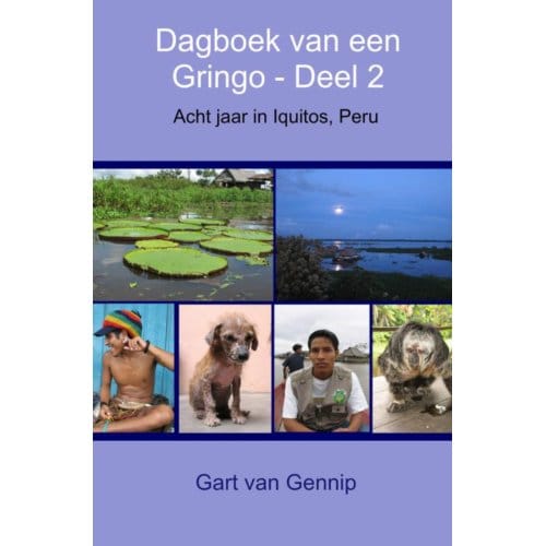 Dagboek Van Een Gringo / Deel 2 - Gart van Gennip