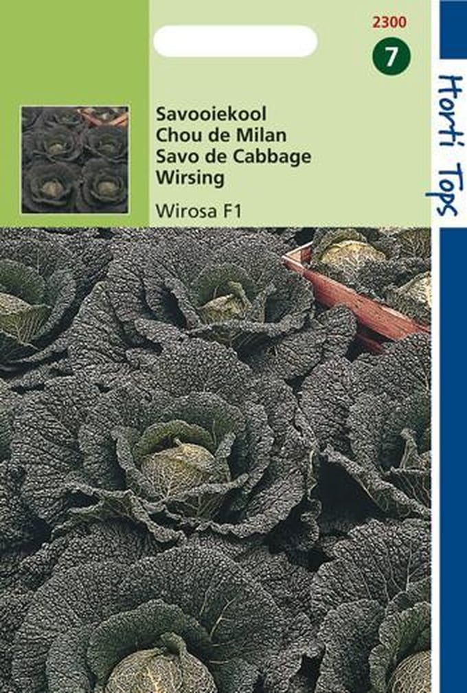 Hortitops Zaden - Savooiekool Wirosa F1-Hybride