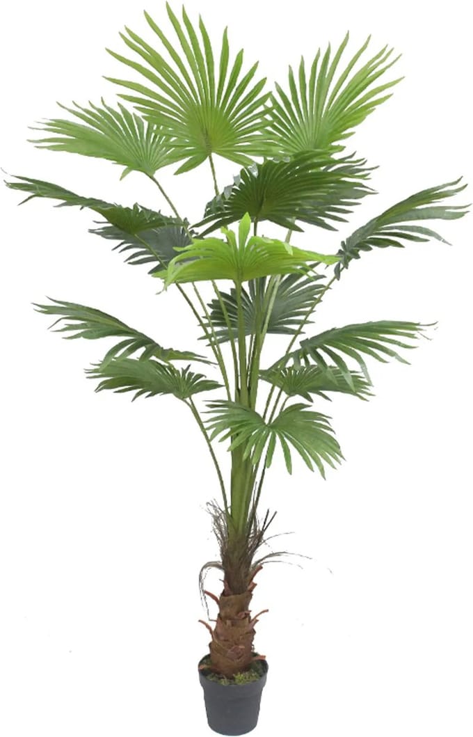 Kunst palmboom | waaierblad | 175cm - Kunst Waaierblad Palm - Vingerblad kunstplant