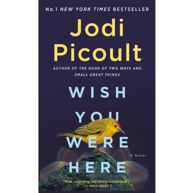 Wish You Were Here - Jodi Picoult
