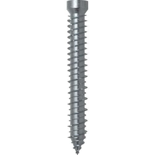 fischer 532915 FFSZ Kozijnschroef met cilindrische kop - 7,5 x 152mm (100st)