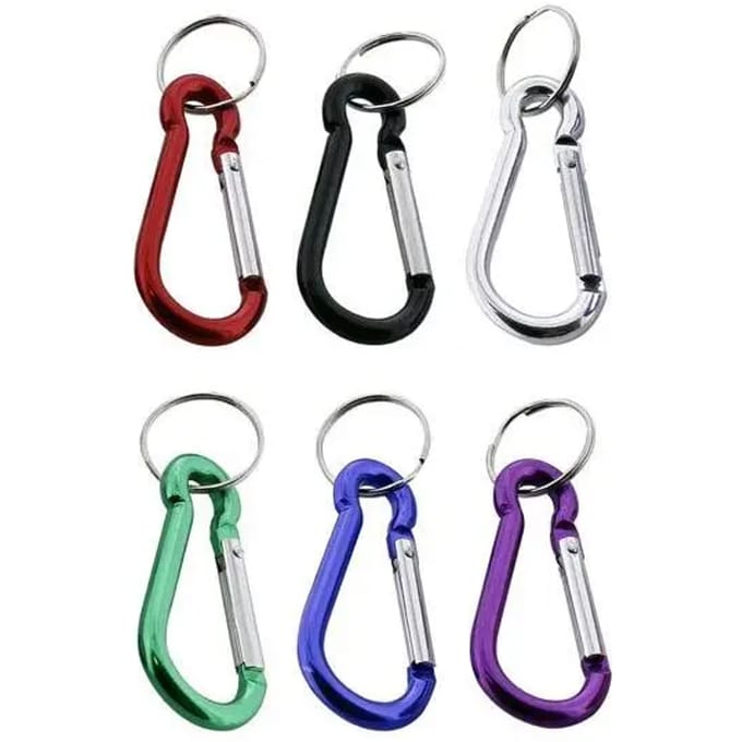 Set van 12 sleutelhangers H. Beligné & Fils Mousquetons