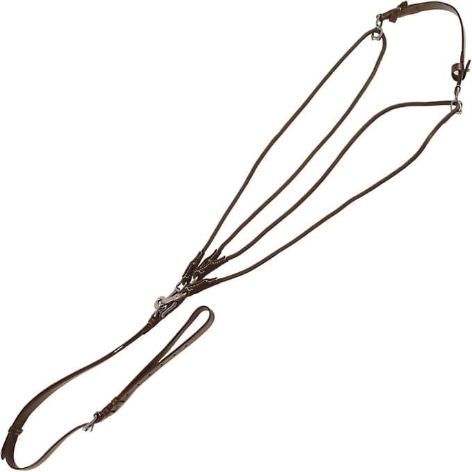 Standaard paard gogue Canter