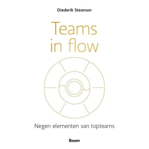 Teams In Flow - Diederik Steeman
