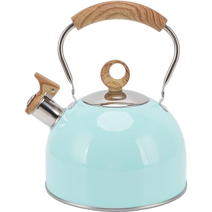 2.5L Fluitketel met Handvat Roestvrij Staal Draagbaar Kookplaat Theepot voor Huishoudelijk Gebruik white